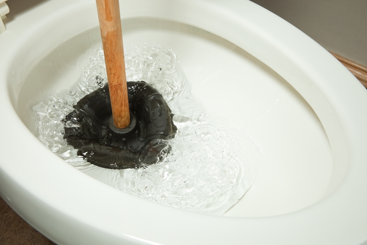 Flange Plunger vs. Toilet Plunger: Here's What to Use on Your Toilet and  Sink
